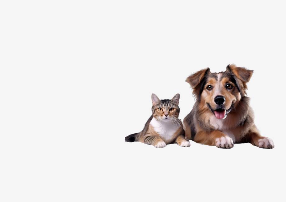 home pets banner