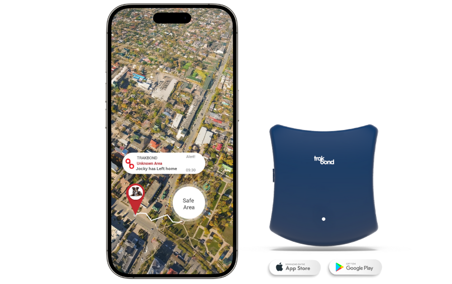home pets banner with tracker and safezone