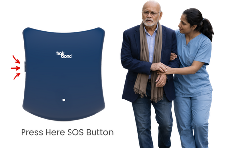 Website Elders Graphics 15